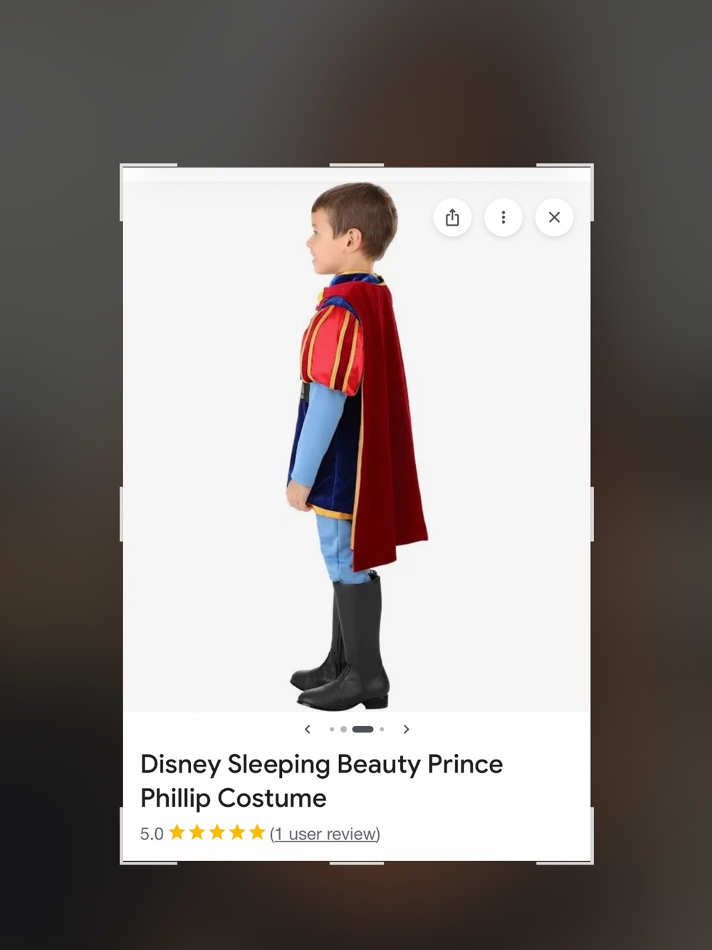 Disney Prince Phillip Costume in Blue, Red & Gold - Picture 2 of 11
